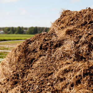 Compost