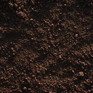 Top Soil